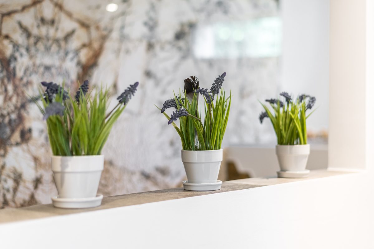 Fliesenberatung Fliesenberatung